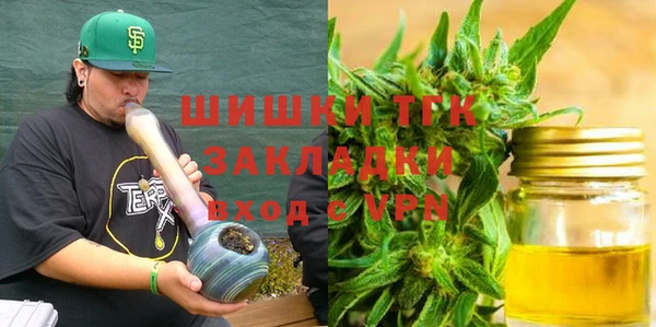 прущие грибы Семикаракорск