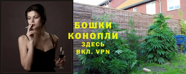 хмурый Балабаново