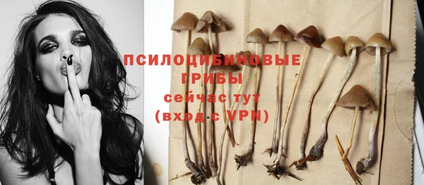 хмурый Балабаново
