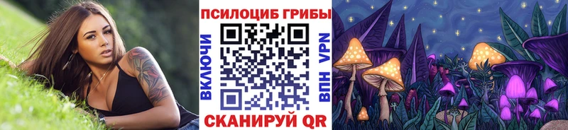Псилоцибиновые грибы Psilocybe  Губаха 
